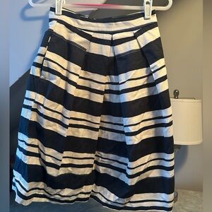 Zara Blue and White Striped A-Line Skirt